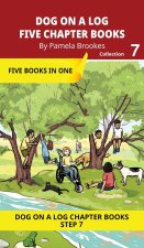 Five Chapter Books 7