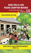 Four Chapter Books 10