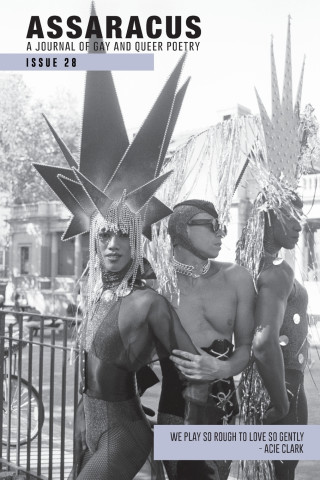 Assaracus Issue 28