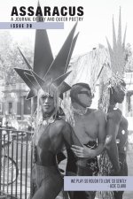 Assaracus Issue 28