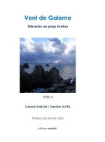 Vent de galerne
