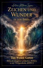 Zeichen und Wunder in der Bibel, Machttaten des lebendigen Gottes