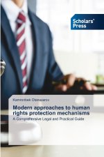 Modern approaches to human rights protection mechanisms