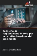 Tecniche di registrazione in foro per la caratterizzazione dei giacimenti