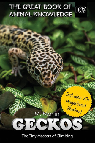 Geckos