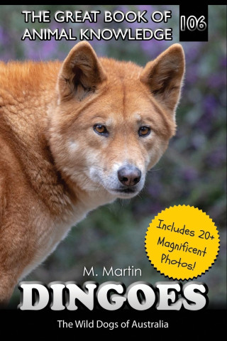 Dingoes
