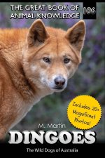 Dingoes