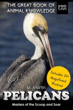 Pelicans
