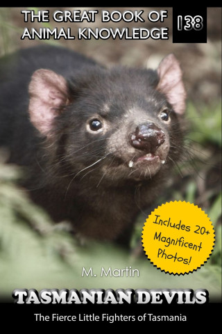 Tasmanian Devils