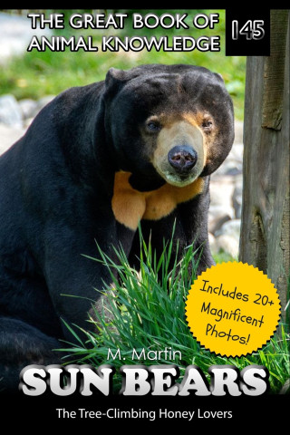 Sun Bears