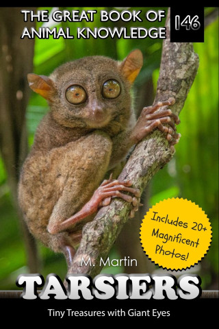 Tarsiers