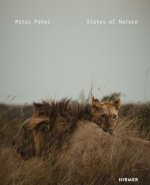 Mital Patel