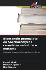 Bioetanolo potenziato da Saccharomyces cerevisiae selvatico e mutante