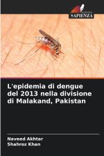 L'epidemia di dengue del 2013 nella divisione di Malakand, Pakistan