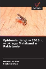 Epidemia dengi w 2013 r. w okręgu Malakand w Pakistanie