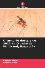 O surto de dengue de 2013 na Divisão de Malakand, Paquistão
