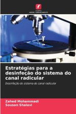 Estratégias para a desinfeção do sistema do canal radicular