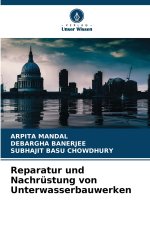 Reparatur und Nachrüstung von Unterwasserbauwerken