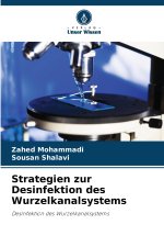 Strategien zur Desinfektion des Wurzelkanalsystems