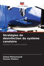 Stratégies de désinfection du système canalaire