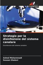 Strategie per la disinfezione del sistema canalare