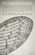 Képökológia