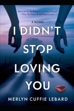 I DIDNT STOP LOVING YOU