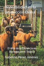 Rentabilidad en la producción Ovina