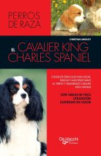 El cavalier king charles spaniel