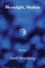 Moonlight, Shaken