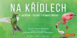 Na křídlech: Klenoty Latinské Ameriky (4. rozšíření)