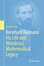 Bernhard Riemann: His Life and Wondrous Mathematical Legacy