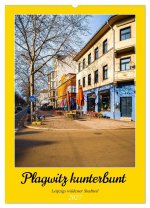 Plagwitz kunterbunt - Leipzigs wildester Stadtteil (Wandkalender 2027 DIN A2 hoch), CALVENDO Monatskalender