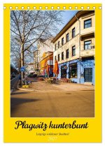 Plagwitz kunterbunt - Leipzigs wildester Stadtteil (Tischkalender 2027 DIN A5 hoch), CALVENDO Monatskalender