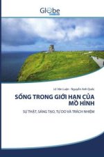 S NG TRONG GI I H N C A MÔ HÌNH