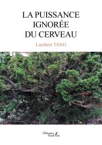 La puissance ignorée du cerveau