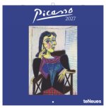 Picasso 2027