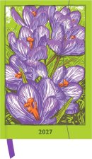 Kat Menschik - Flowers - Crocus 2027