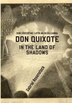 DON QUIXOTE IN THE LAND OF SHADOWS