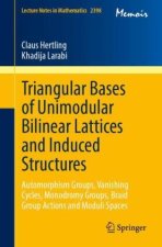 Triangular Bases of Unimodular Bilinear Lattices and Induced Structures