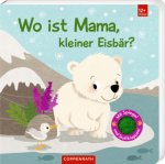 Wo ist Mama, kleiner Eisbär?