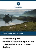 Modellierung der Grundwasserströmung und des Wasserhaushalts im Wukro-Becken