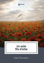 esile filo d'erba