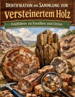 Identifikation und Sammlung von versteinertem Holz