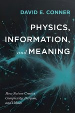 Physics, Information, and Meaning