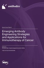 Emerging Antibody Engineering Strategies and Applications for Immunotherapy of Cancer