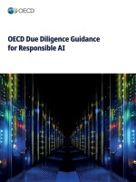 OECD Due Diligence Guidance for Responsible AI