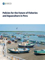Policies for the Future of Fisheries and Aquaculture in Peru
