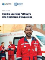 Flexible Learning Pathways into Healthcare Occupations