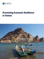 Promoting Economic Resilience in Yemen